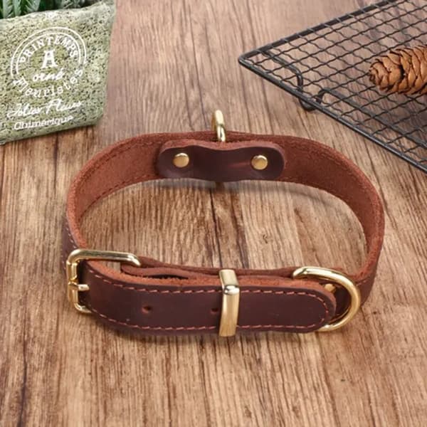 Solid polstret og justerbart hundehalsbånd i ekte skinn (brun, stor for 58cm - 73cm hals)