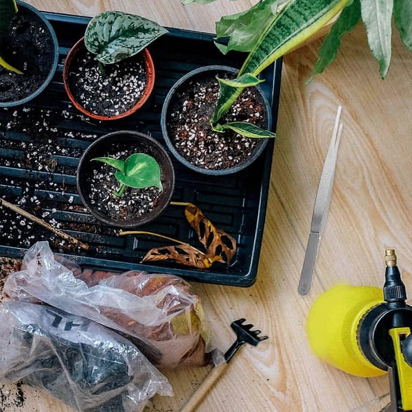 4 stk. hagetang i rustfritt stål for planting av sukkulenter