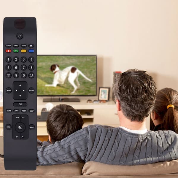 VESTEL RC3902 TV-fjernkontroll