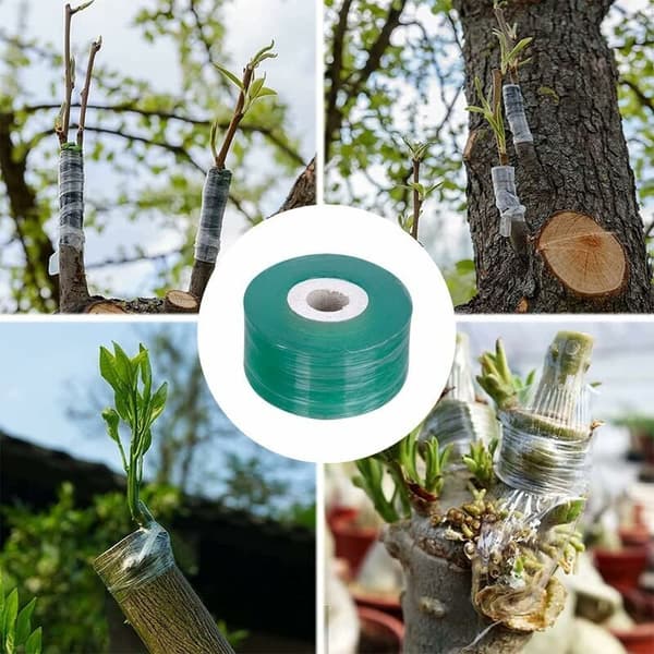 Transparent ymptejp, ymptejp, plantskoletape, ymptejp, lämplig för växter, fruktträd, 2 stycken, 2 cm
