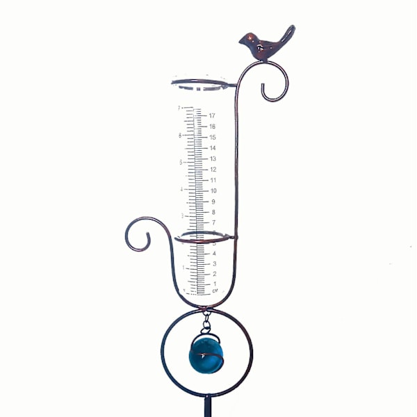 Utomhus Regnmätare med Stake för Trädgård, Gräsmatta & Blommor - Lättläst, Rostfri Design Hummingbird