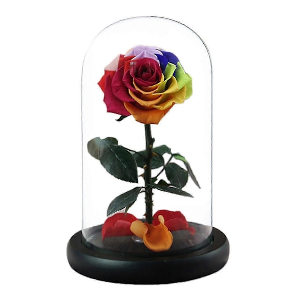 Evig Ros i Glaskupa Romantisk Estetisk Konstgjord Evig Rosblomma i Glaskupa Present Mal Multicolor
