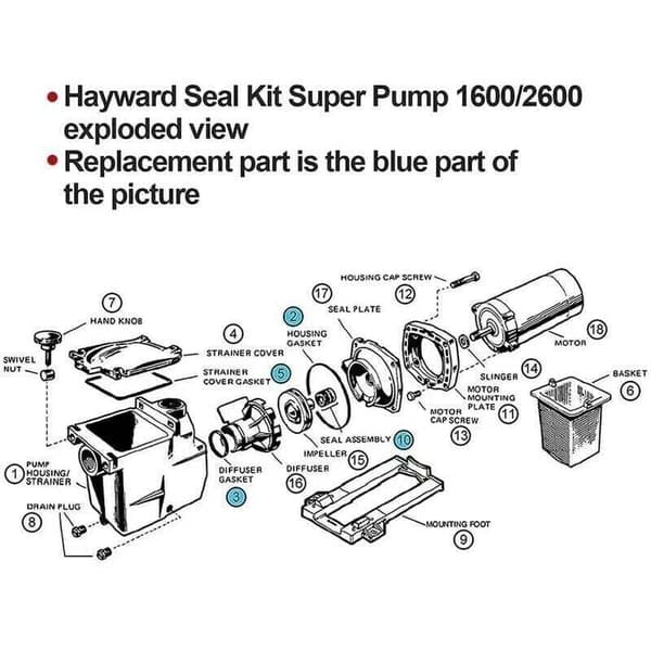 Byte av poolpumpspackning för Hayward Super SP2600 1600 2600X Poolpumpspackningsreparationssats