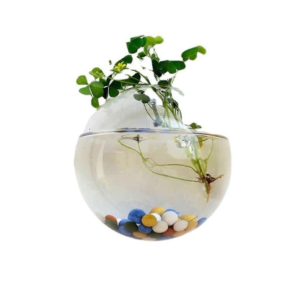 Väggmonterad Glasblomvas Transparent Design Halvrund Vas För Hemmakontor Vardagsrum 15cm