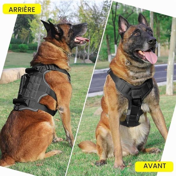 Reflekterende hundesele, nettingpolstring, 3 håndtak, anti-trekk, justerbar, svart, størrelse L