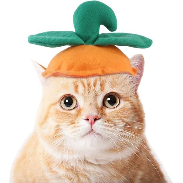 1 stk. Halloween-kostumetilbehør til kæledyr: tilbehør til hunde, passer til hunde (orange).