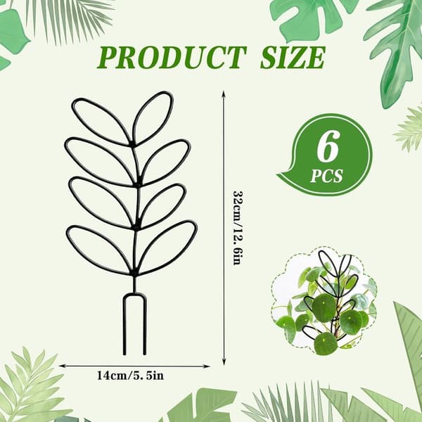 Set med 6 växtstöd för klätterväxter, lämpliga för inomhusväxter, Monstera, blommor och Hoya.
