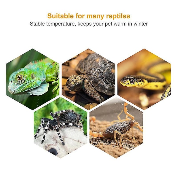 3 stk. Reptil Lampe