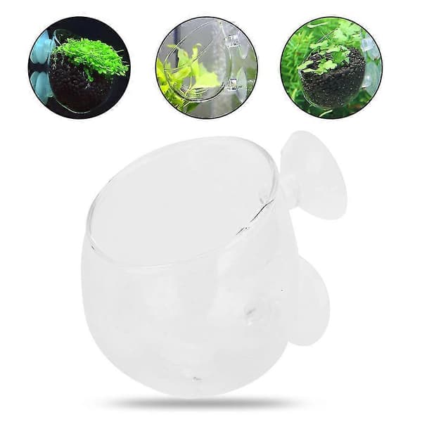 Akvariedekorationstillbehör Transparent Glas Planteringskruka för Akvarier med Gräsväxter
