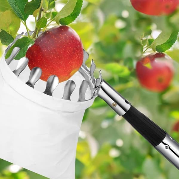 Frugtplukker 4,2 m med teleskopskaft, letvægts justerbar stang og frugtopbevaringspose, plukker i rustfrit stål