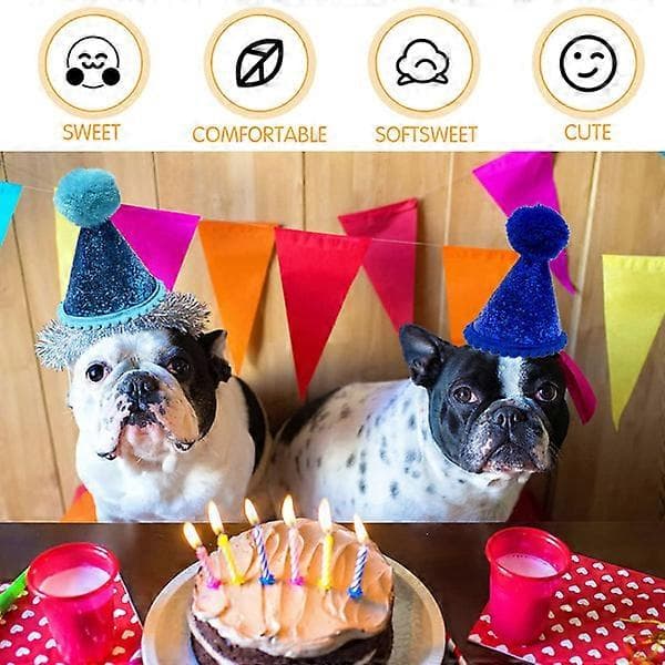 Hundebursdagshatt for kjæledyr juledekorasjon