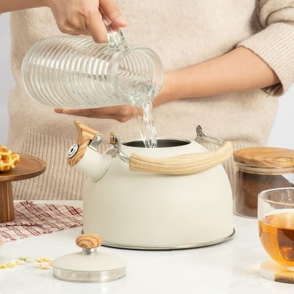 2,5L fløjtekedel i rustfrit stål. Induktion- og gaskompatibel. Ergonomisk bakelithåndtag. Elegant beige finish.
