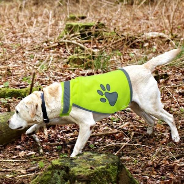Refleksvest til hunde / Reflekterende - Flere størrelser S