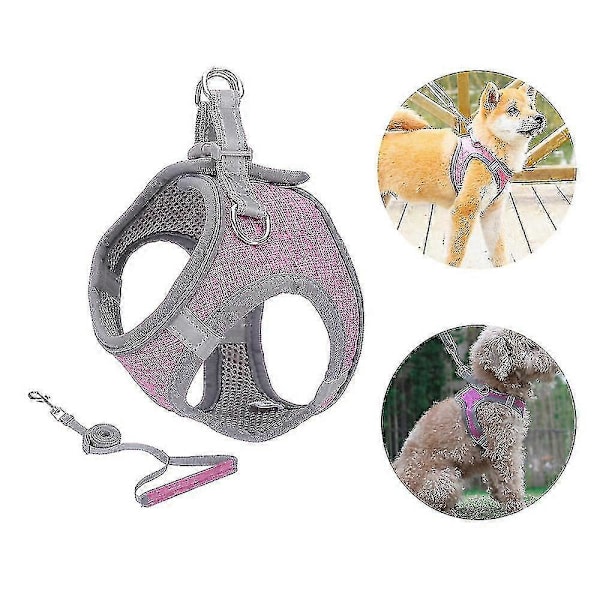 Liten Hundsele, Valpsele, Mjuk Hundsele Och Koppelsats Med En Reflexhalsband Bästa Gåvan Bästa Gåvan Purple XS