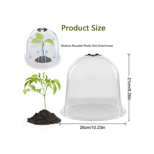 Salatklokke x6 beskyttende drivhus for planter