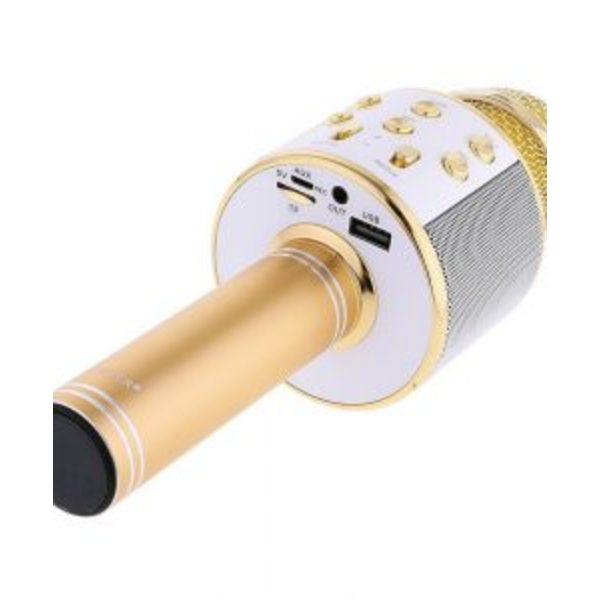 LAGERRENSNING ORGINAL WSTER - 5W högtalare bluetooth karaoke mikrofon - guld guld