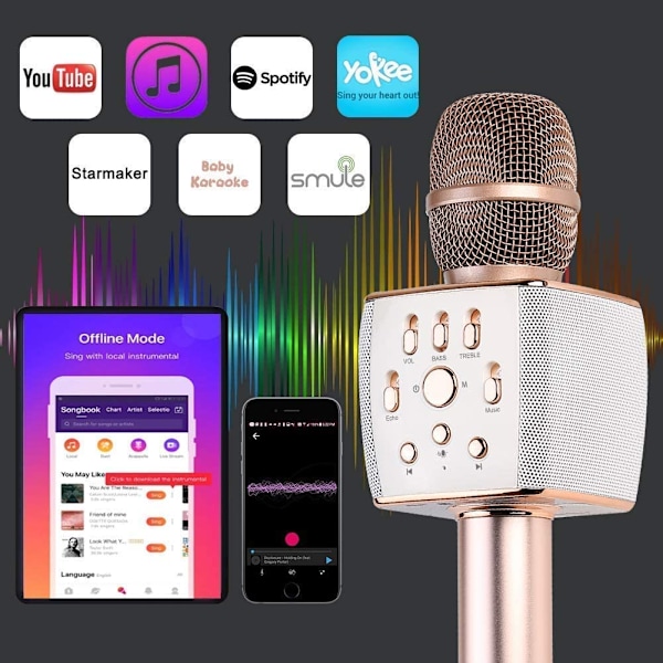 LAGERRENSNING Bluetooth karaoke mikrofon 12W inbyggda högtalare – X37