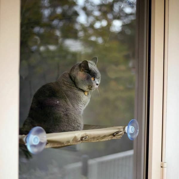 1 katteseng: vindueshængekøje til katte