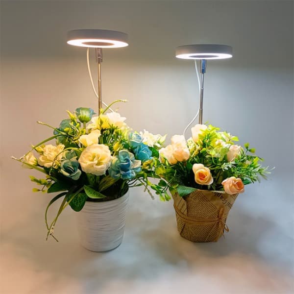 INF Plantebelysning for potteplanter varmhvit/hvit