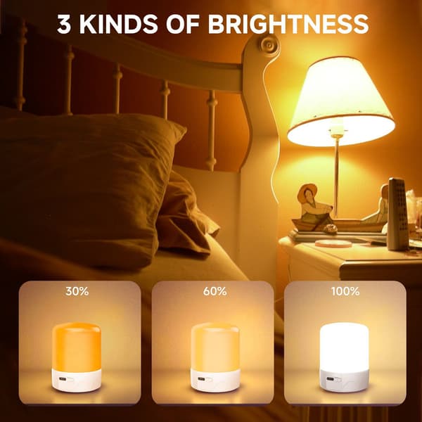 Rechargeable Light Bulb with Remote Control and Timer, Battery Backup, 16 Colors and Dimmable Brightness, LED Bulb, 2-pack