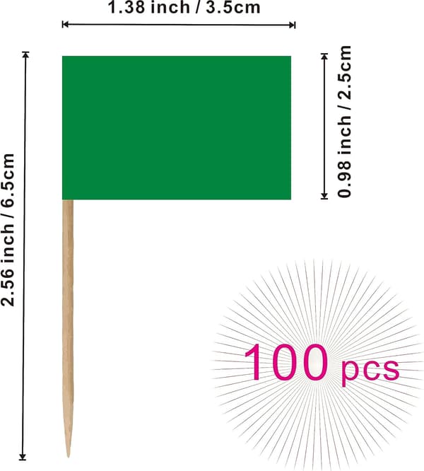 Empty Toothpick Flag Small Mini Labels Marking DIY Stick Flags for Cocktail Fruit Cupcake Toppers Food Decorations, 100-Pack