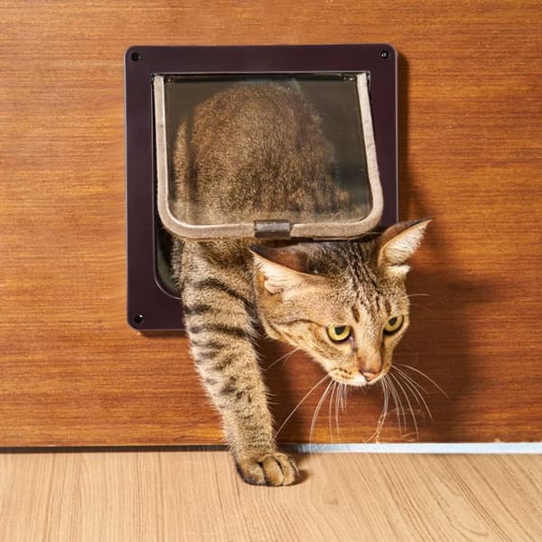 Kattelåge med 4-vejs magnet, kæledyrslåge til katte og små hunde, C