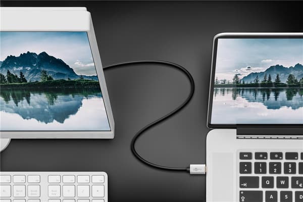 USB-C™ to DisplayPort™ cable, 2 m, black;silver Svart, Silver