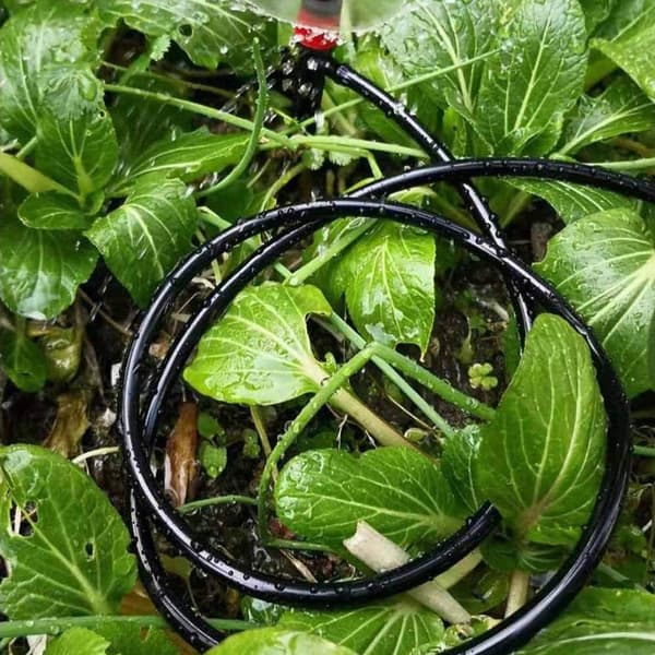 Kraftig haveslange, 15m, Udvendig diameter 7mm, Indvendig diameter 4mm, Sort