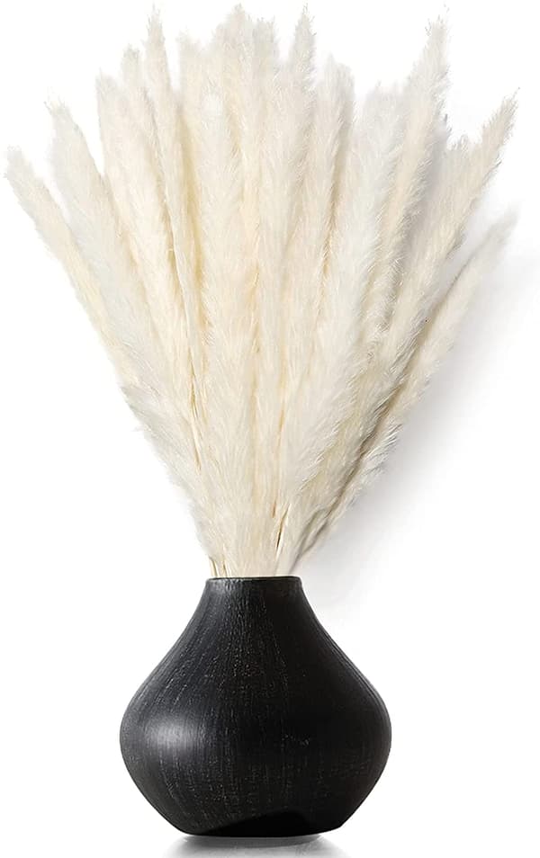 Dried Pampas Grass, Natural Pampas Grass Dried, Pampas-XF28-