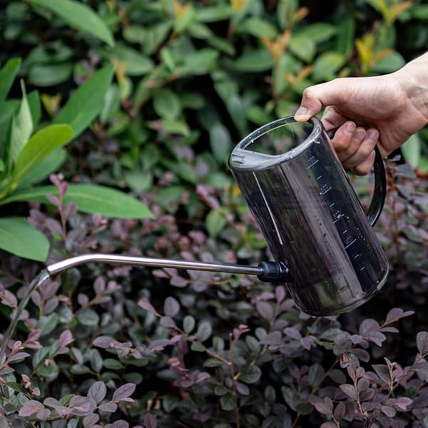 Vandkande til indendørs planter med lang tud i rustfrit stål 1 liter