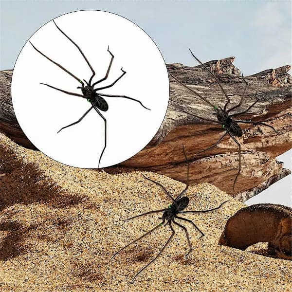 Kylskåpsmagnet spindel, Realistiska spindelmagneter, Söta spindlar Design A