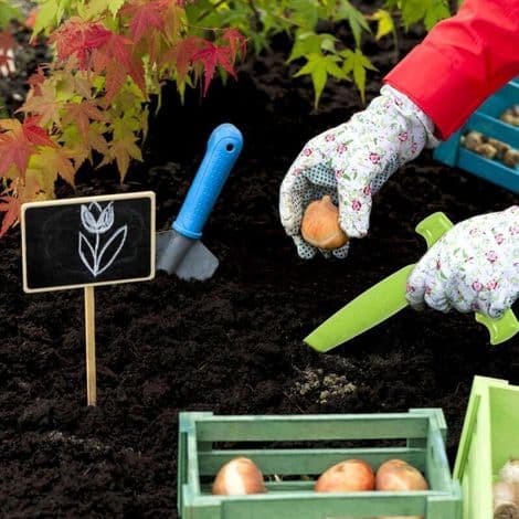 Multifunktionel haveplanter i rustfrit stål til løg, sukkulenter og sarte planter - Ergonomisk og let - ULISEM