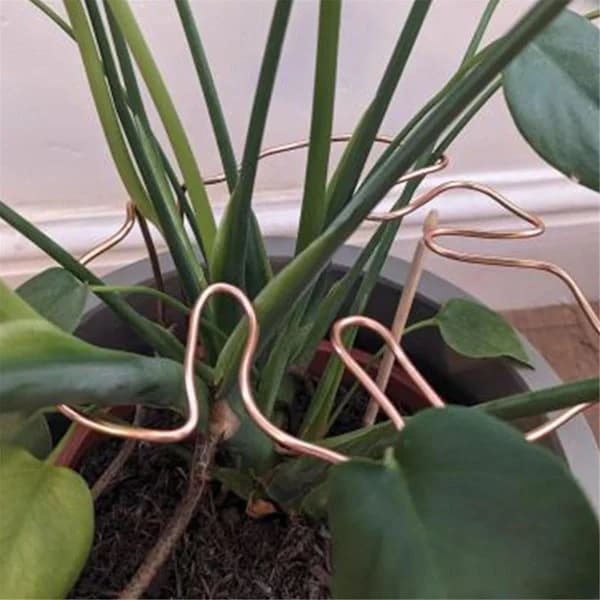 (Pow yeah!) Monstera-shaped Plant Support Reusable Sturdy Alloy Plant Stem Support Holder Plant Preservation Support Herbs Vegetables B