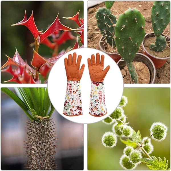 Trädgårdshandskar i läder för kvinnor, förlängda proffshandskar Rose Pru