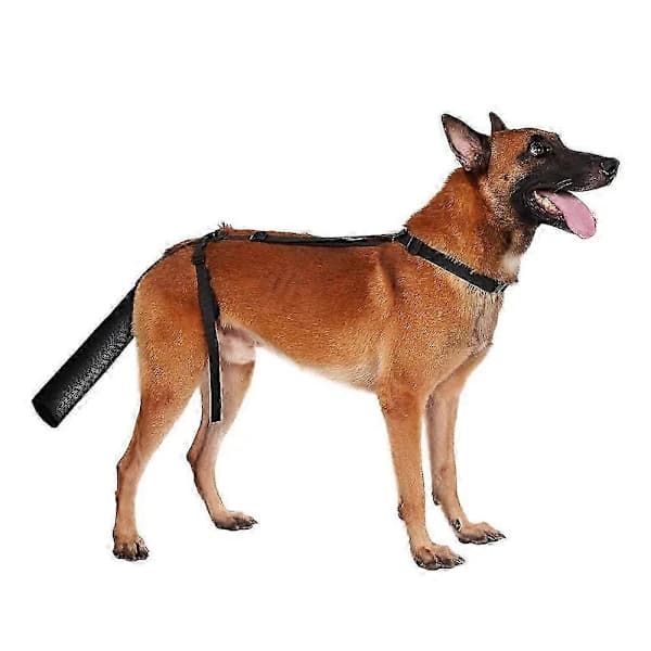 Halebeskyttelse for hunder, Halebeskyttelse for hunder Halebeskyttelse for sår Svart hundesele M