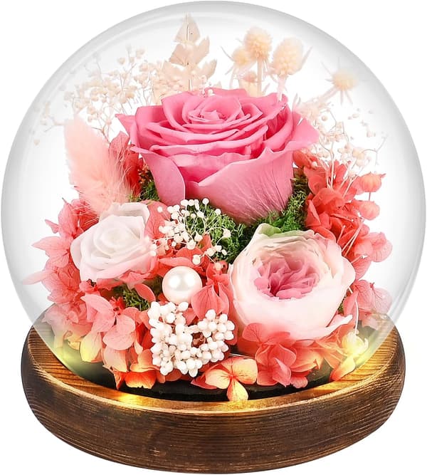 Evig Rose, Valentinsdagsgave til kvinder, Julegave til mors dag