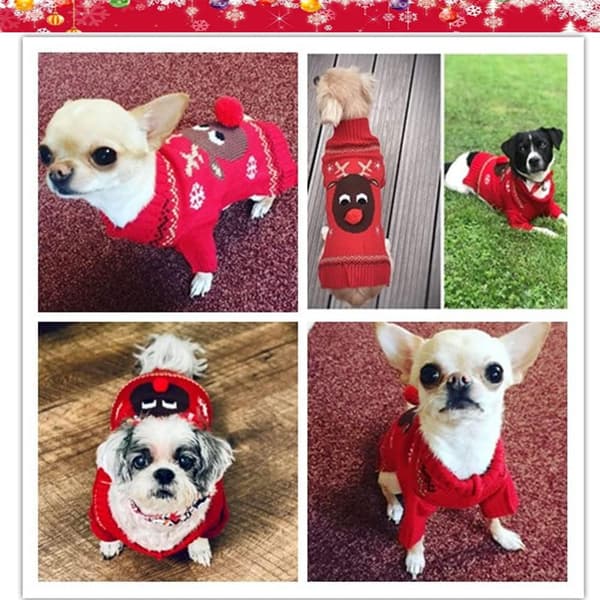 Varmt tøj til hund og kat julekostume halloweenkostume