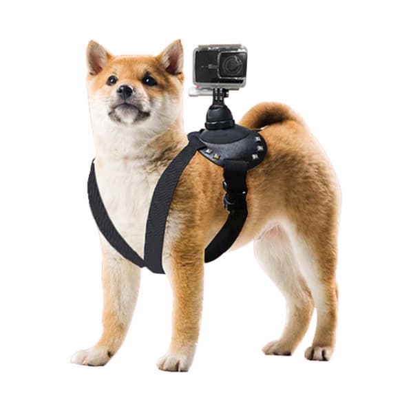 GoPro hundesele brystrem til hundevest POV-montering actionkamera