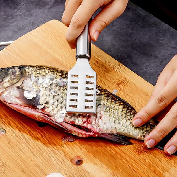 Stainless Steel Fish Scaler, 2 Pieces Fish Scaler Scraper Professional Fish