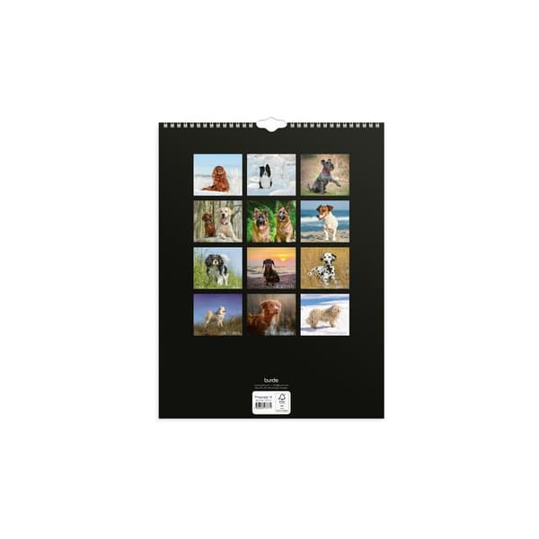 Veggkalender Stora Hundkalendern 2027