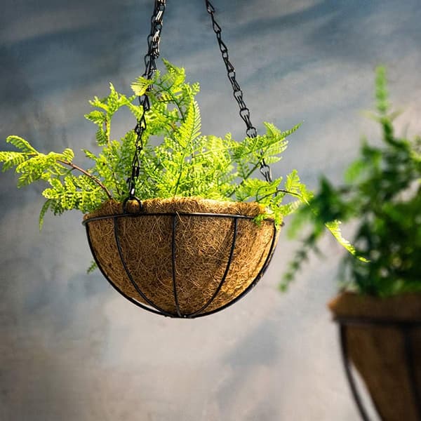 3-pack metallhängande planteringskorg med kokosfiberfoder 25 CM Rou