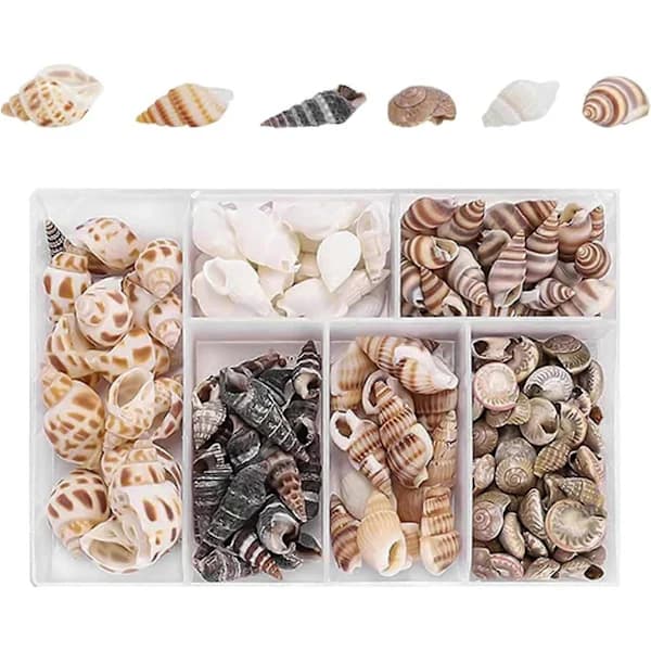 100 pcs Natural Seashell Mix for Crafts and Decoration - Multiple Shapes, Spiral Shells for Nautical Projects