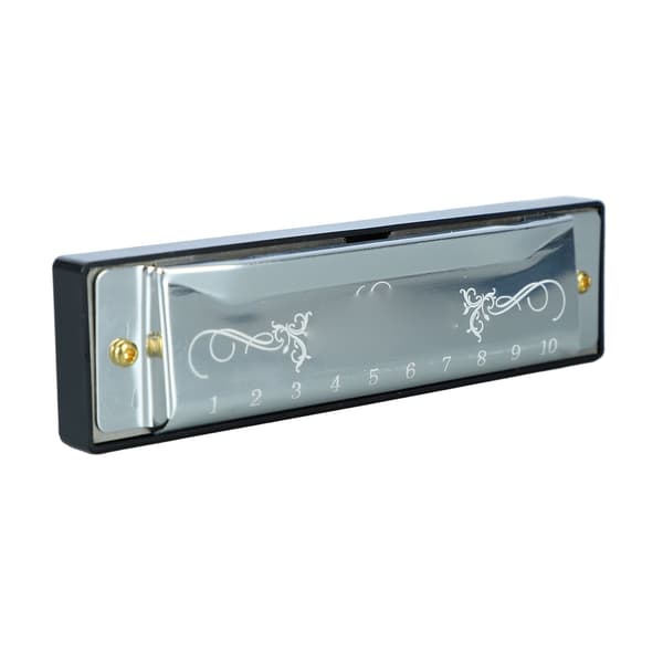 Harmonica 10 Holes 20 Tune C Major Professional Standard Harmonica with Case for Kids, Beginners, Silver
