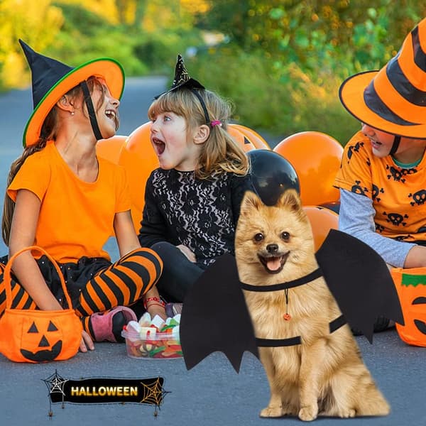 Flagermusvinger til hunde, Halloween-kostumer til mellemstore hunde med græskar