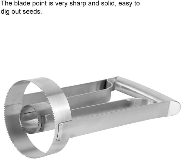 Stainless Steel Pineapple Corer, Fruit Peeler Cutter Slicer Remover Kitchen Tool