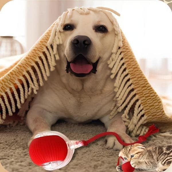 2 pcs 360° Smart Automatic Rolling Pet Ball, Rechargeable Irregular Motion for Cats & Dogs, Red
