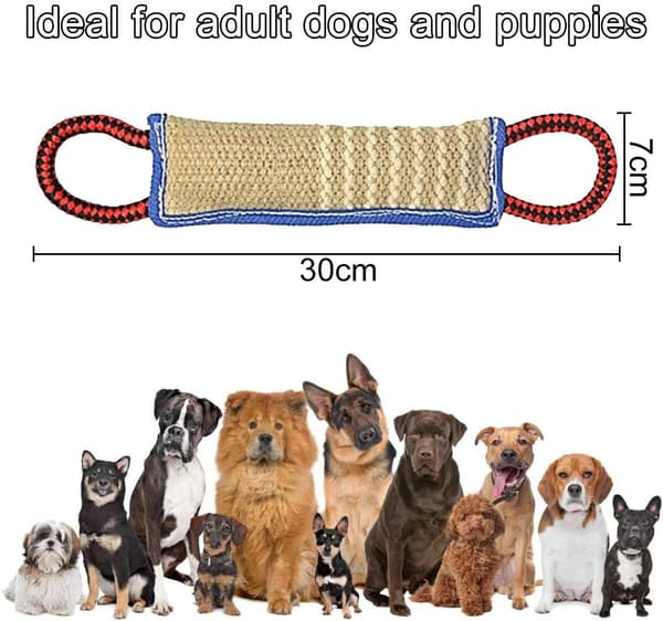 Dog Toy Bite Dummy with 2 Handles 30cm - Floating Learning Roller Good for Dog's Dental Health, Interactive St