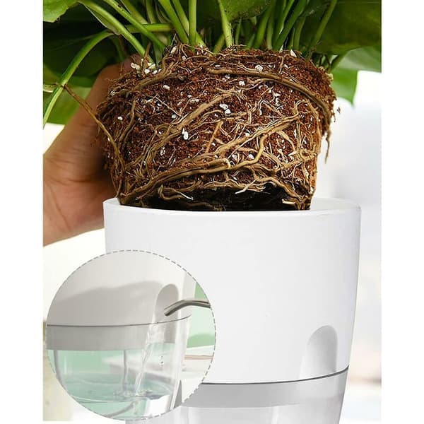Windowsill Kitchen Set Self-Watering Set of 3 Herb Garden for Kitchen 18.2 X 11 X 15.3 cm for Kitchen Fresh Herbs White
