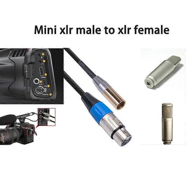 REXLIS 1FT Mini XLR Han til XLR Hun Adapterkabel, 3-Pin Mini XLR til XLR Videokabel, til BMPCC 4