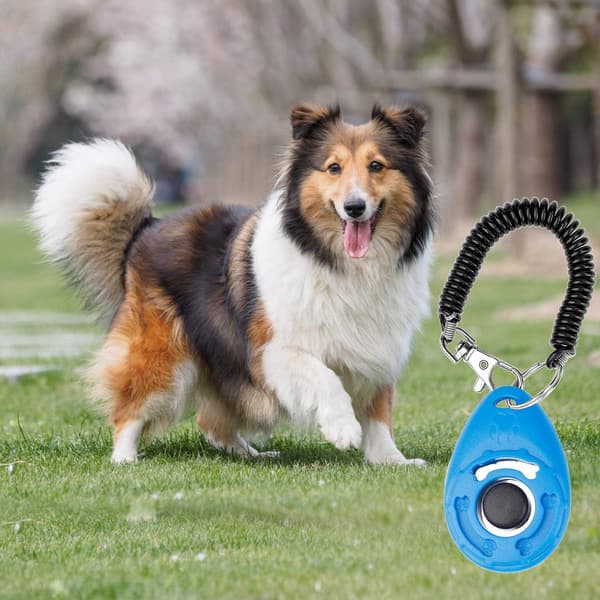 Clicker til hunde [4-pak], clicker med elastisk rem og stor knap
